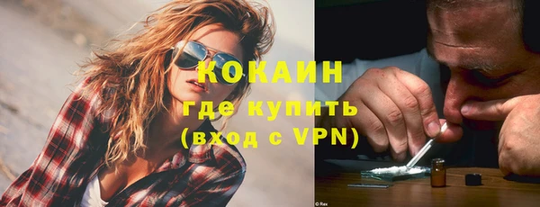 прущие грибы Беломорск