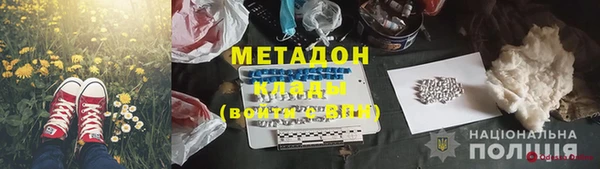 прущие грибы Беломорск