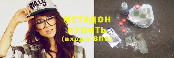 прущие грибы Беломорск