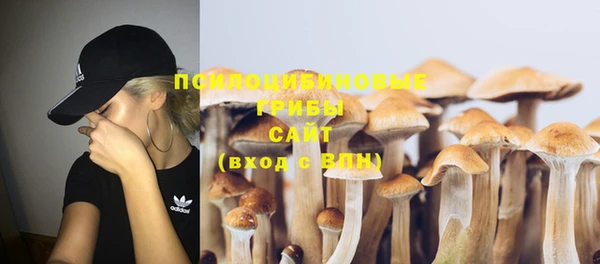 синтетический гашиш Усинск