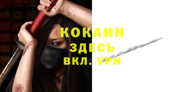 прущие грибы Беломорск