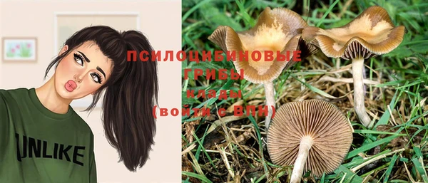 ГАЛЛЮЦИНОГЕННЫЕ ГРИБЫ Белоозёрский