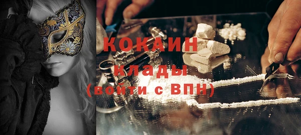 прущие грибы Беломорск
