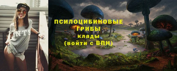 мяу мяу мука Усмань