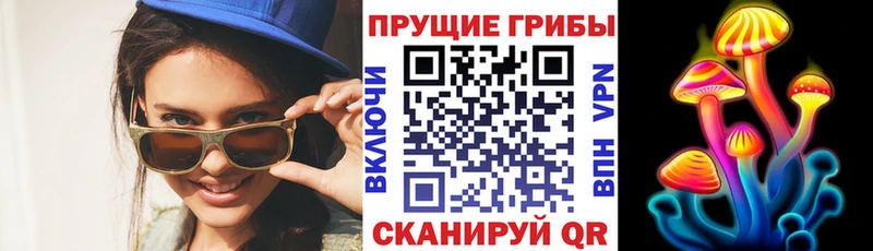 Псилоцибиновые грибы GOLDEN TEACHER  ОМГ ОМГ как зайти  Купино 