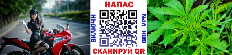 Бошки марихуана тримм  Купино 